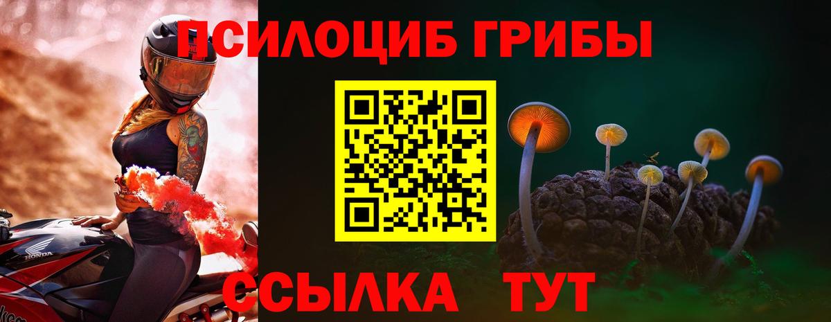 Псилоцибиновые грибы прущие грибы  Псилоцибиновые грибы мицелий  Вход с VPN  Чусовой 